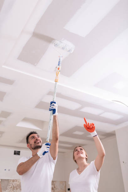  Mission, TX Mold Removal Pros