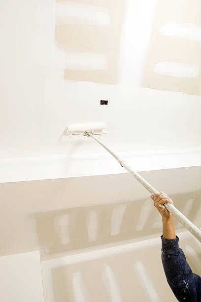Best Post-Construction Mold Inspection  in Mission, TX