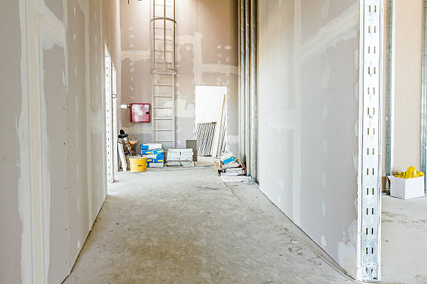 Mission, TX Mold Removal Company