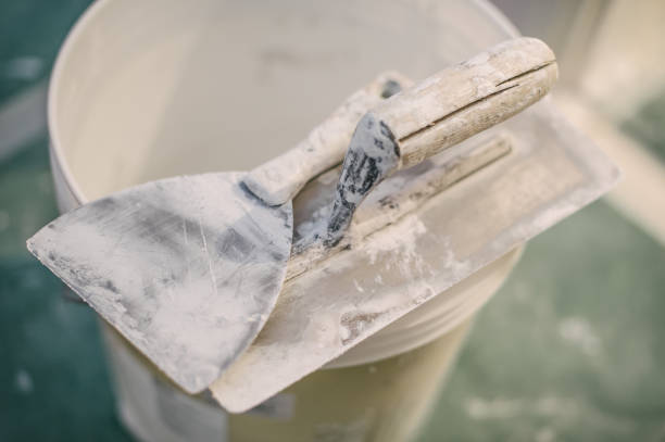 Best Mold Documentation for Insurance Claims  in Mission, TX